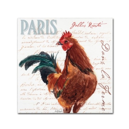 Jennifer Redstreake 'Dans La Ferme Rooster II' Canvas Art,35x35